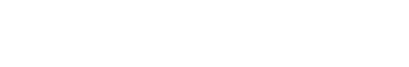 CARAABINER