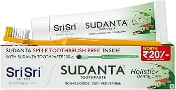 SRI SRI SUDANTA PASTE WITH BRUSH 100G